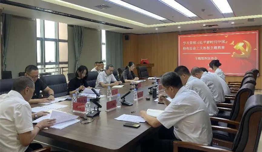 蓝筹担保公司党支部召开学习贯彻习近平新时代中国特色社会主义思想主题教育专题组织生活会